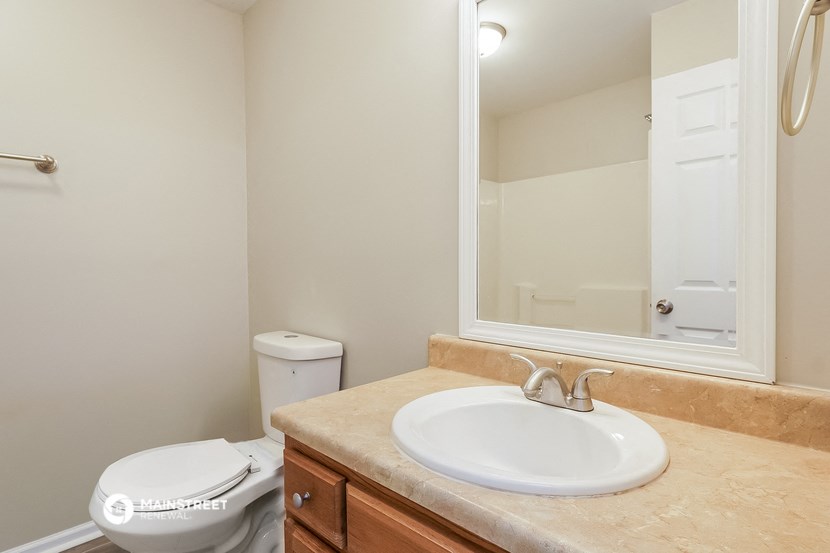 a bathroom with a sink and a mirror and a toilet