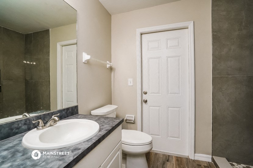 a bathroom with a sink and toilet and a mirror