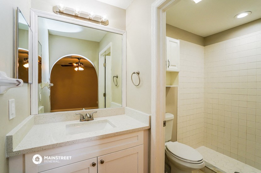 a bathroom with a sink and a mirror and a toilet