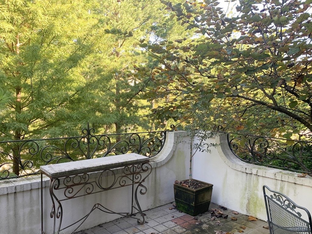 Ivory house interior