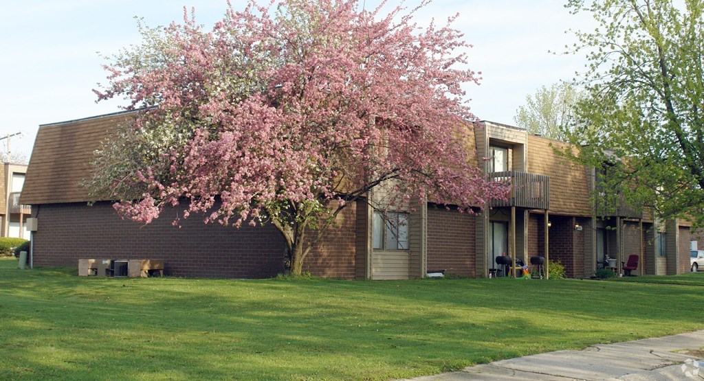 a tree in front of a brick apartment building