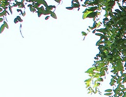 Village Green Apartments In Greeley Co