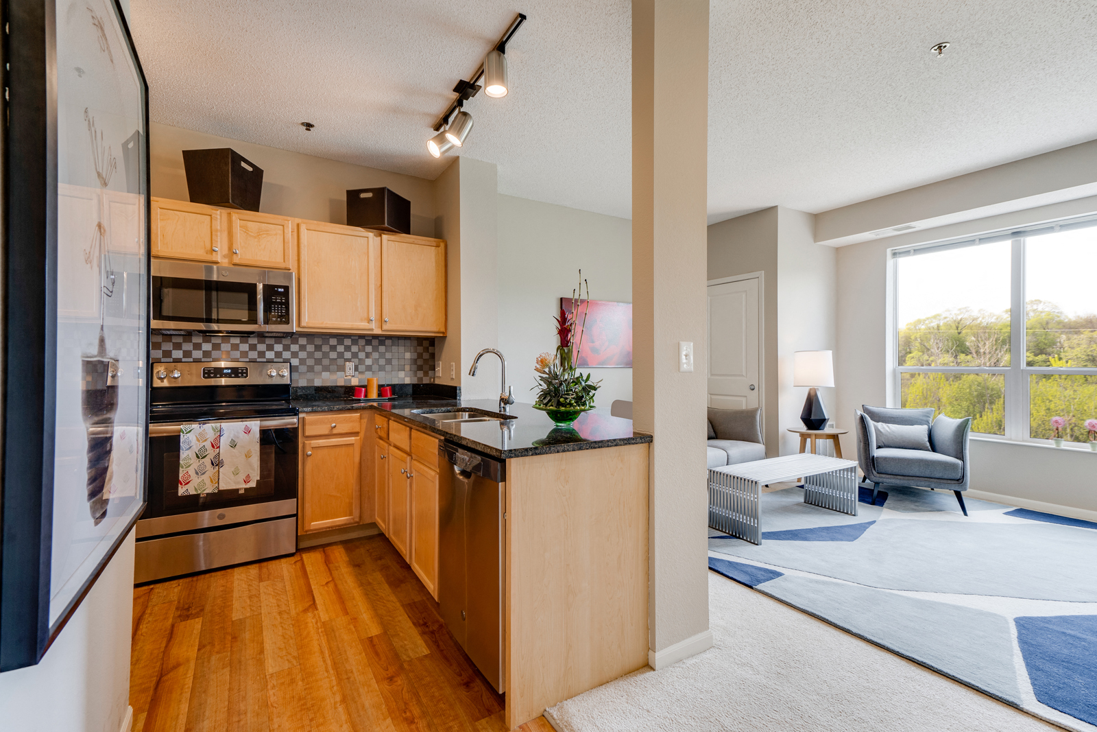 Open concept kitchen and living room