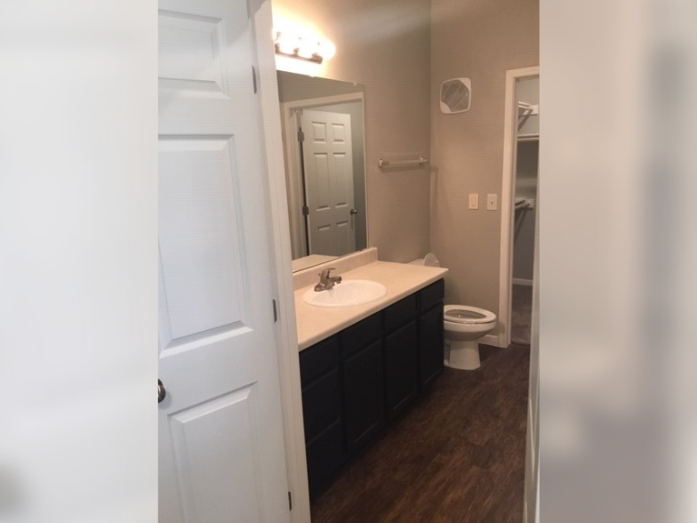 a bathroom with a sink and a toilet and a mirror