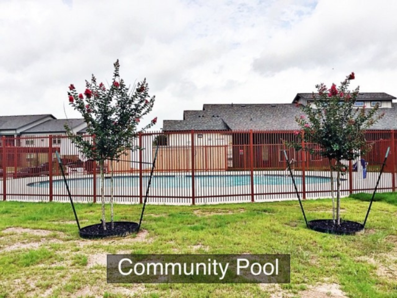 an image of a community pool with trees in front of it