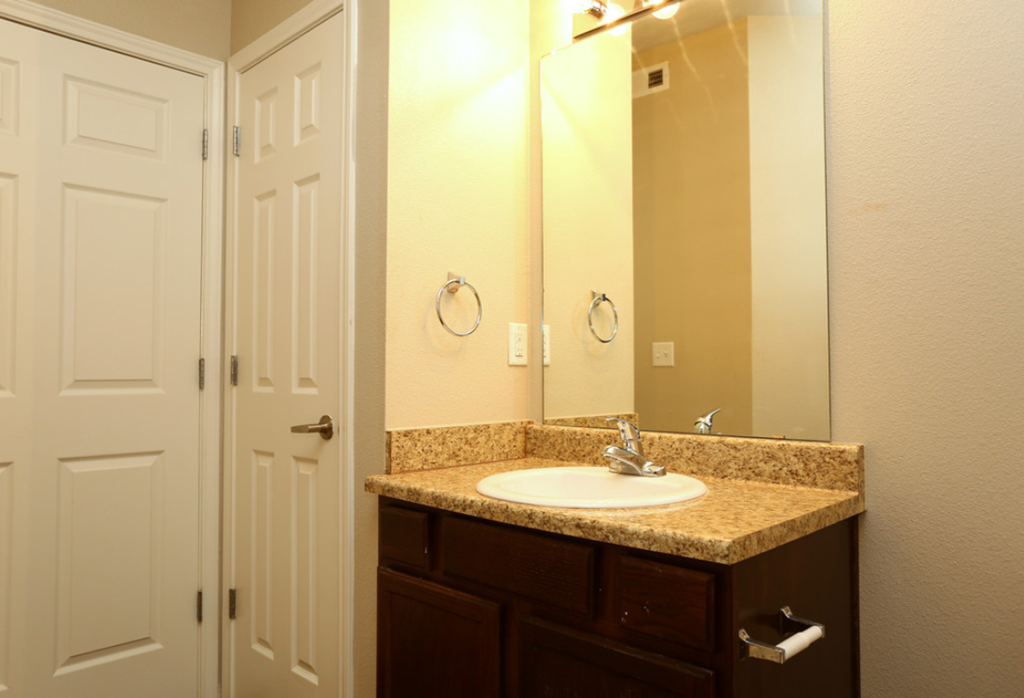 a bathroom with a sink and a mirror