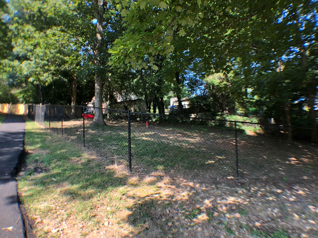 the yard is fenced in with a chain link fence