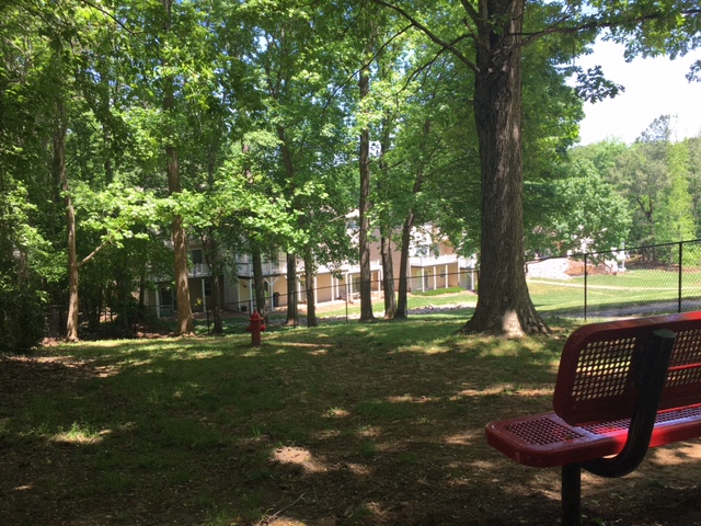 a bench and a fire hydrant in a park