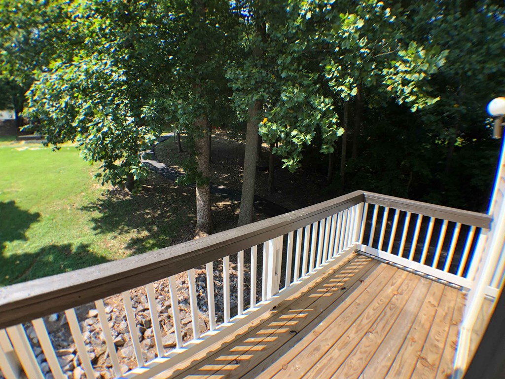 the view of the yard from the deck