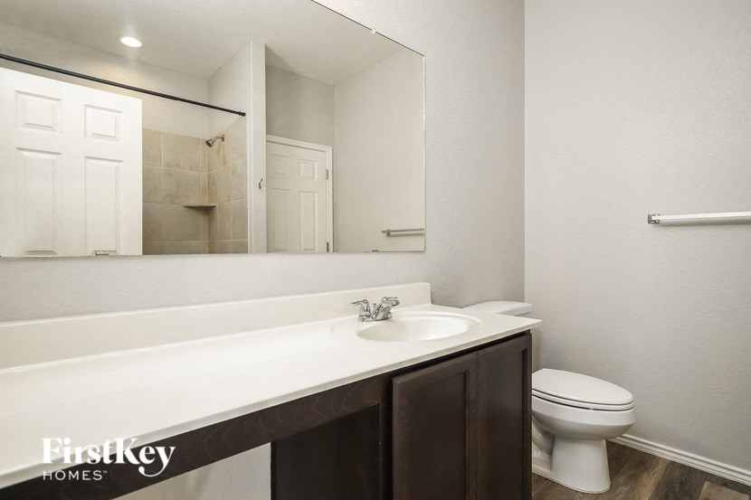 a bathroom with a sink and a toilet and a mirror