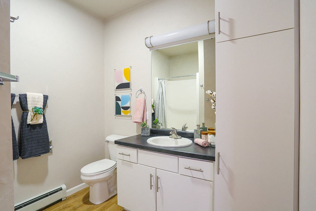 a bathroom with a sink and a toilet and a mirror
