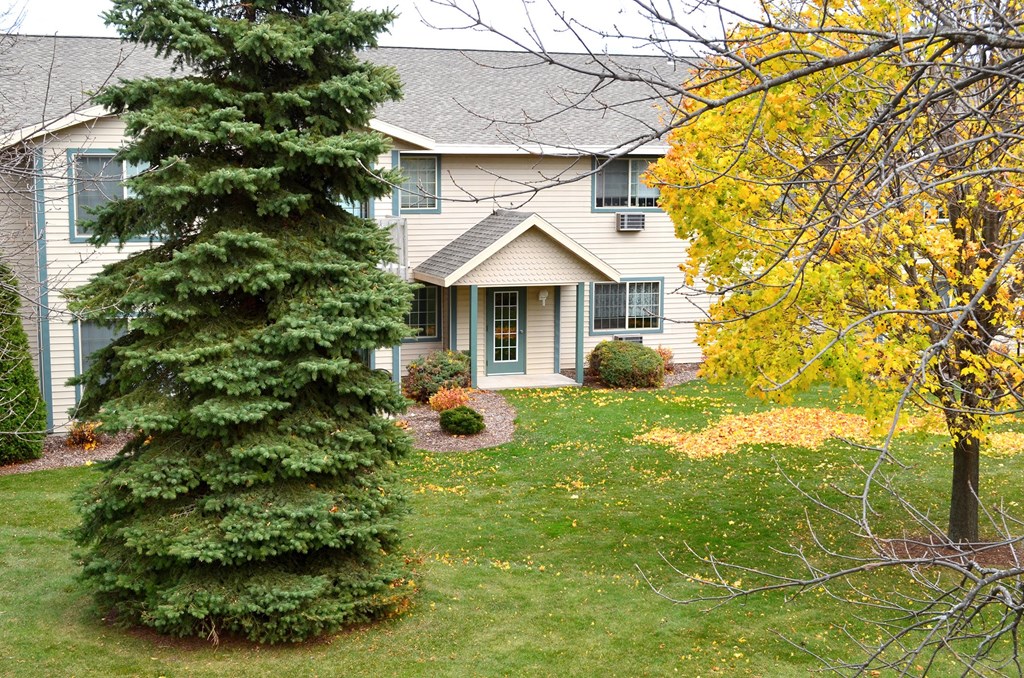 a house with a large evergreen tree in front of it