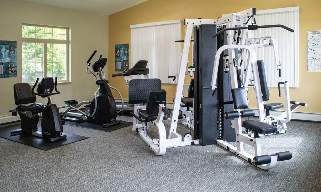 a gym with exercise equipment in a home gym