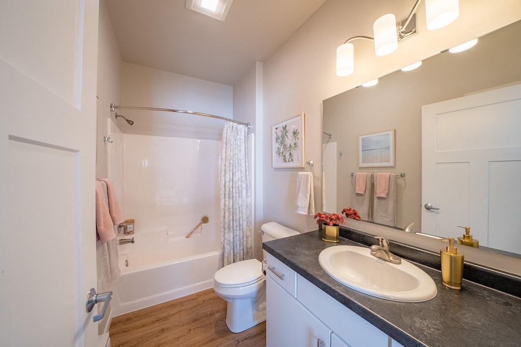 a bathroom with a sink and a toilet and a shower