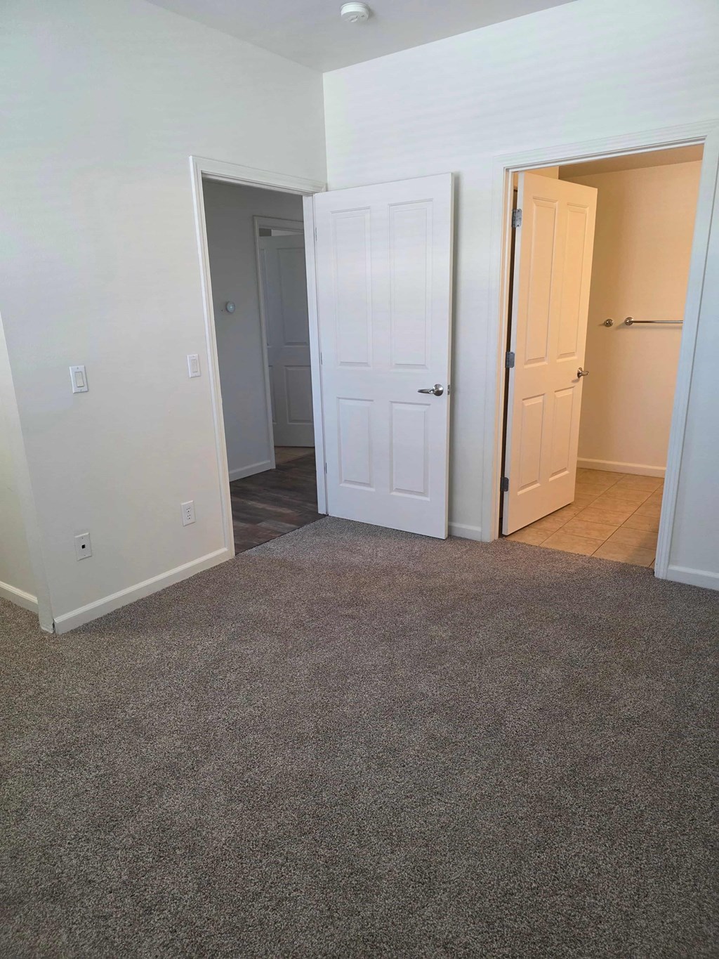 A room with a carpeted floor and two white doors.