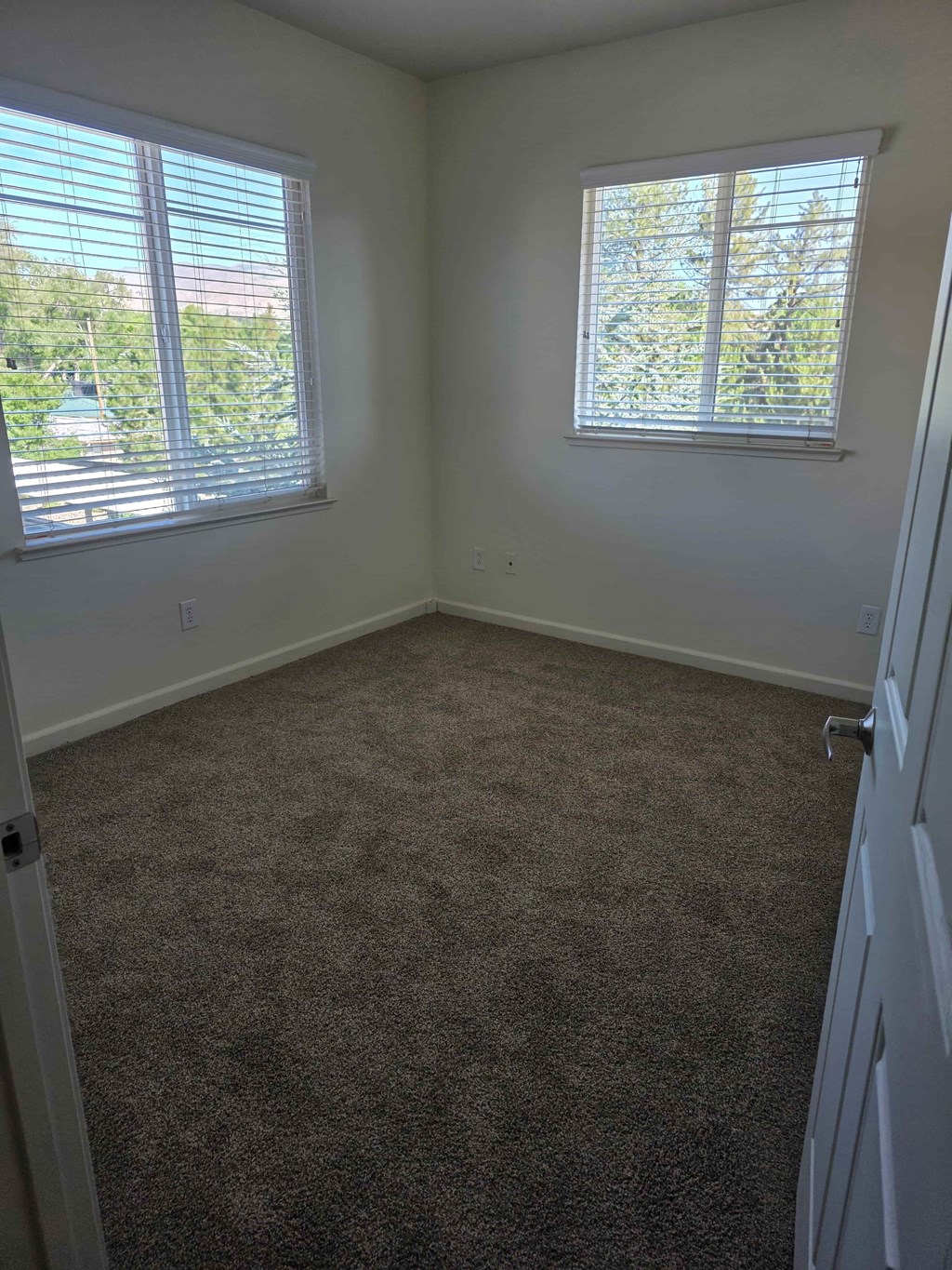 A room with carpeted floor and two windows.