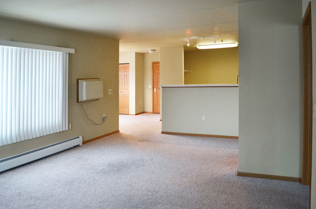 A room with a window and a carpeted floor.