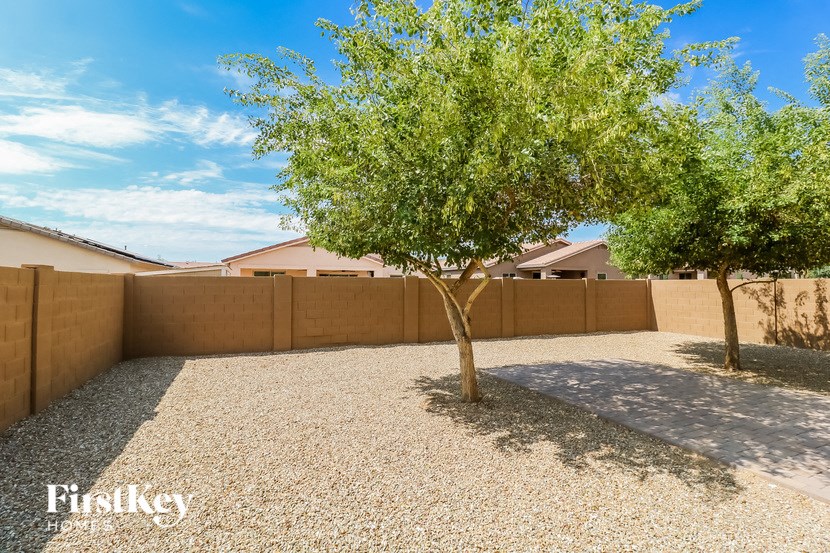 a backyard with two trees and a fence