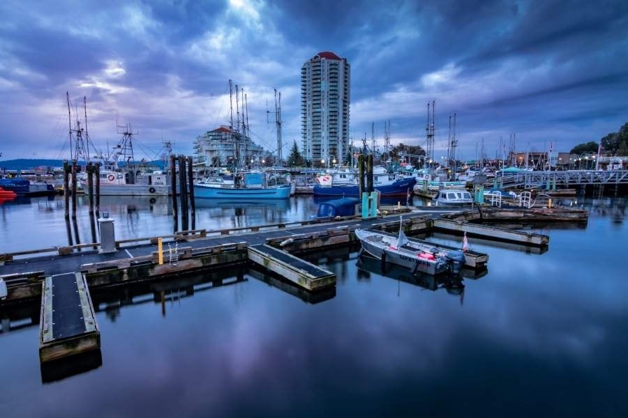 A marina with boats docked and a tall building in the background.