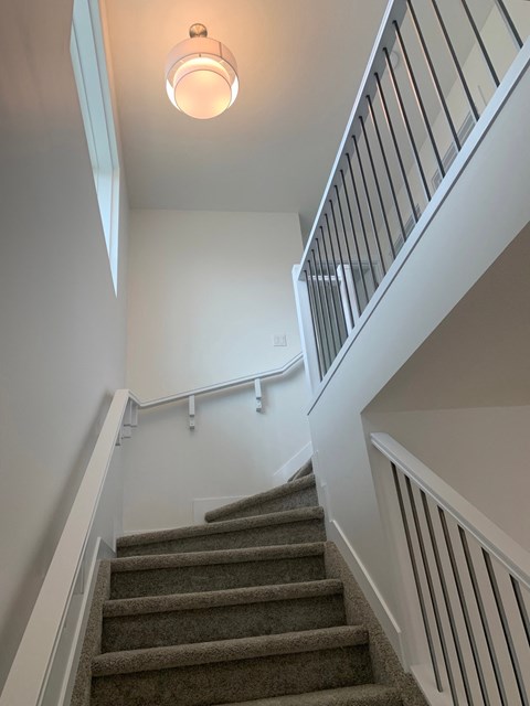 a stairwell with carpeted stairs and a ceiling light