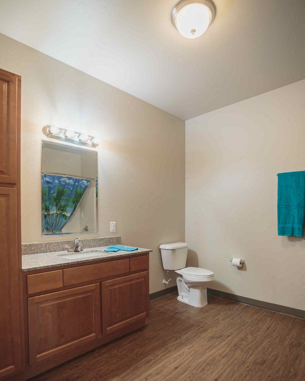 a bathroom with a toilet and a sink and a mirror