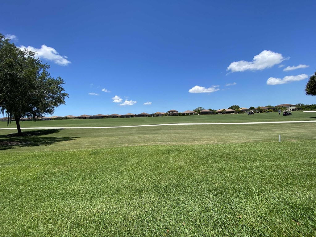 a grassy field with a tree and a blue sky