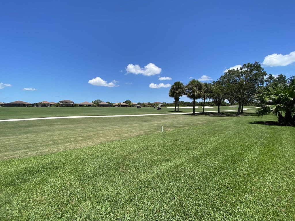 a field of green grass with trees and a blue sky