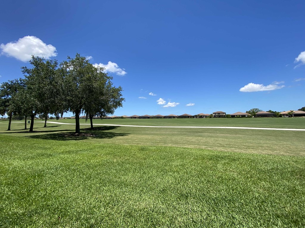 a grassy field with trees in the middle of it