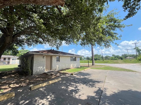 A small building with a brown door is surrounded by a tree and a grassy area.