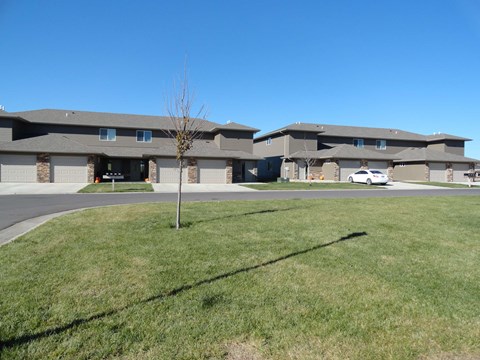 A tree stands in the middle of a grassy area in front of a building.