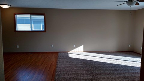 A room with a ceiling fan and a window letting in sunlight.