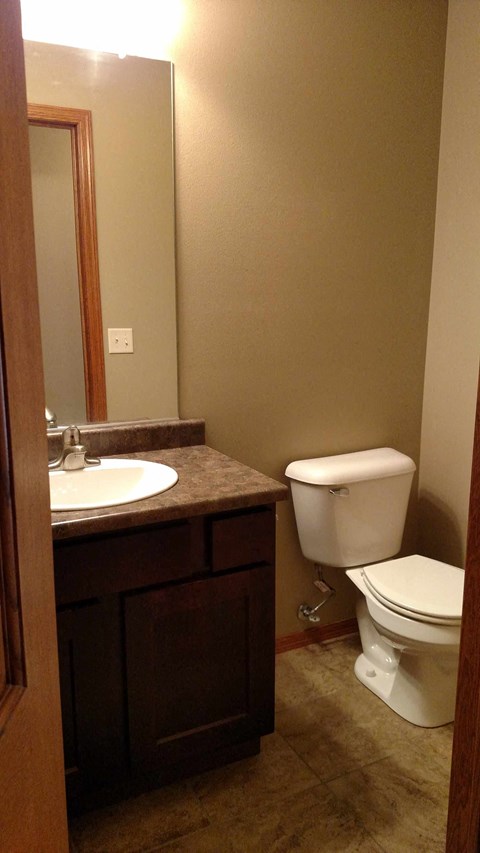 A white toilet sits next to a sink in a bathroom.