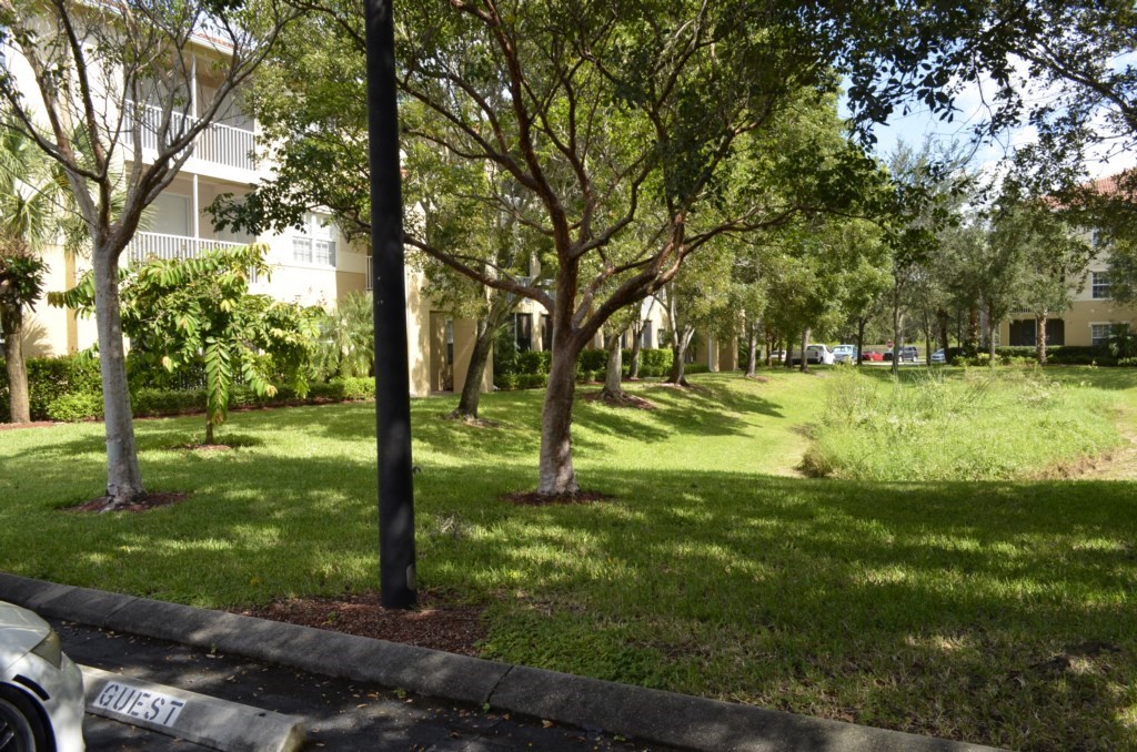 a park with trees in front of an apartment building