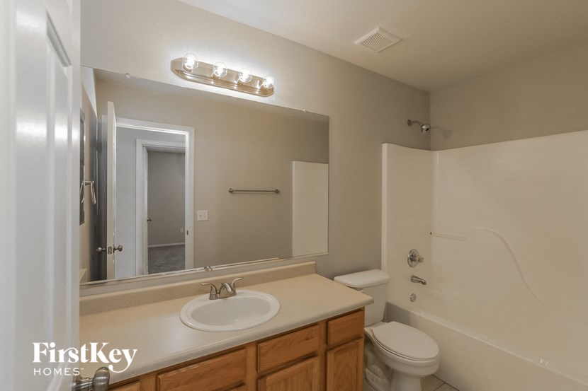 a bathroom with a sink and a toilet and a mirror