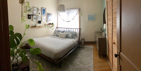 A bedroom with a bed, a plant, and pictures on the wall.