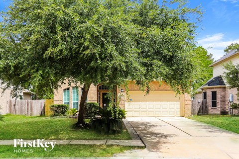 A tree in front of a house with a garage door.