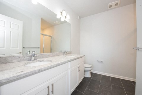a bathroom with a sink and a toilet and a mirror