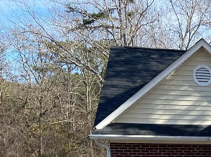A small house with a white door and a brick chimney.