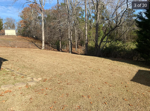A grassy field with trees and a house in the background.