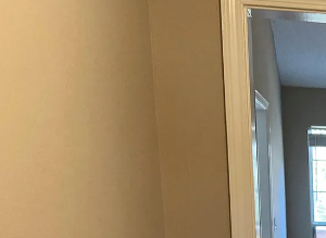 A white door is on the right side of a room with a fireplace and a window.