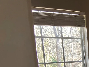 A room with a fireplace and two windows.