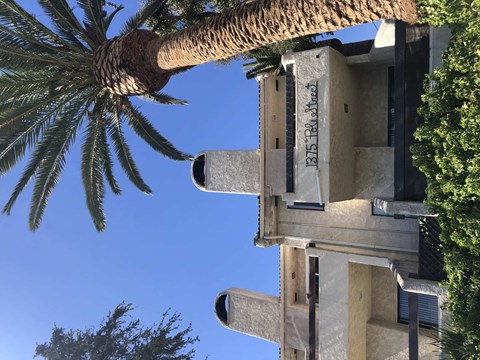 A tall palm tree is in front of a building with a sign that reads "175 Tramway".