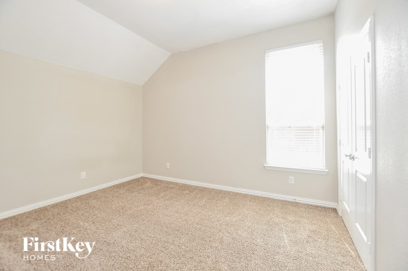 a bedroom with a carpeted floor and a window
