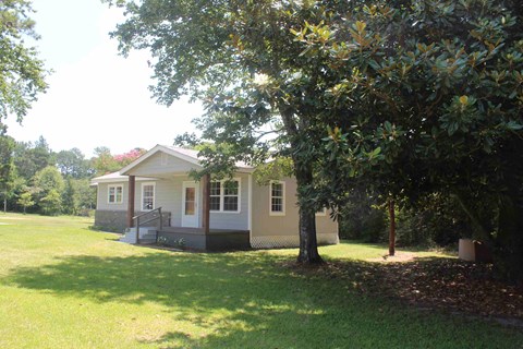 the front of the house with a large tree in the yard