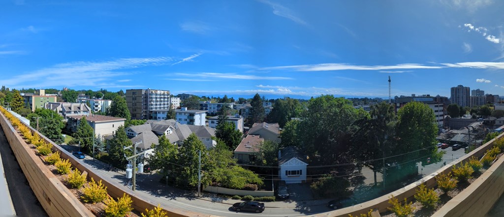 A view of a residential area from a high vantage point.
