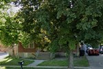 a tree in the front yard of a house