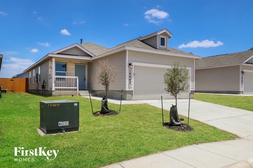 a home with three trees in the front yard and a driveway