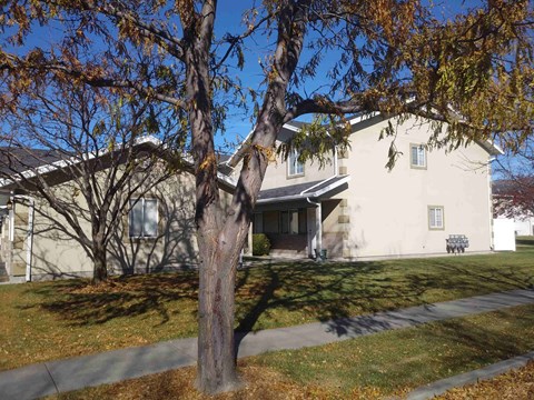 A house with a tree in front of it.