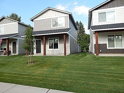 a green lawn in front of some houses