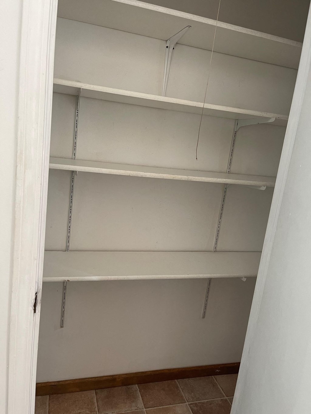 the empty shelves in the closet are empty